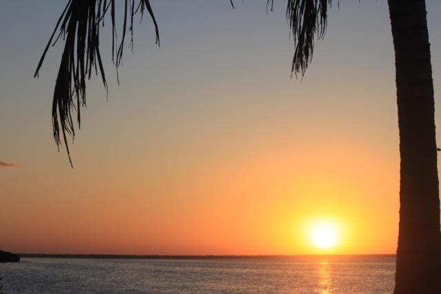 Ikarus Costa Mujeres Eco Lodge Sunset View Cancun Exterior photo